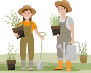 Service à la personne jardinage